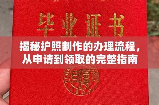 中原揭秘护照制作的办理流程，从申请到领取的完整指南